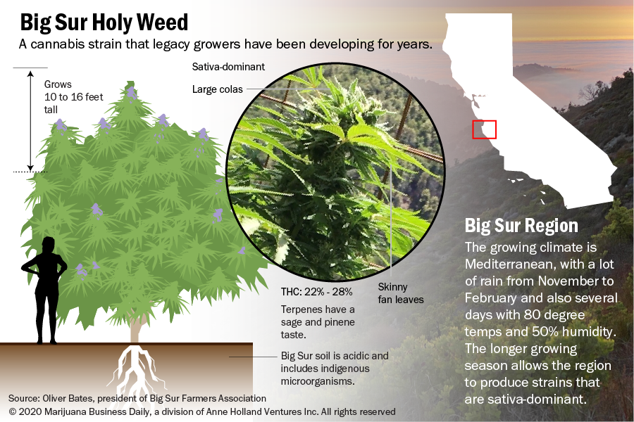 A portfolio chart made by Andrew Long for Marijuana Business Daily.